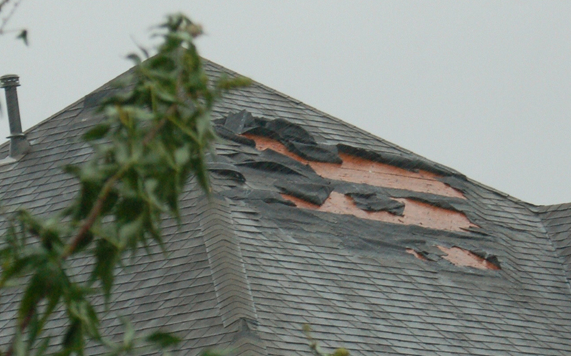 Shingles Shingles