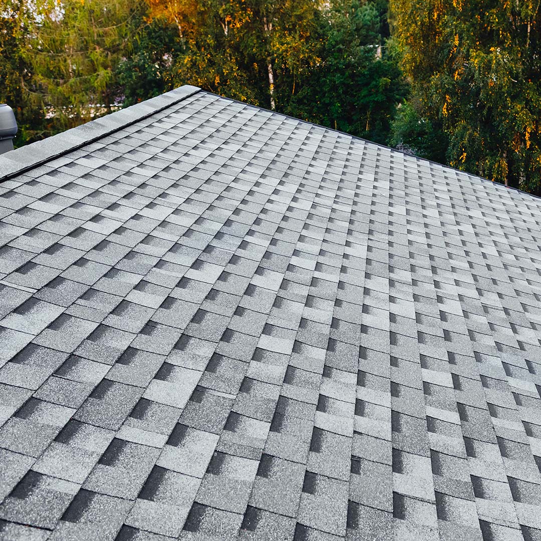 1080x1080Social-4 new shingles