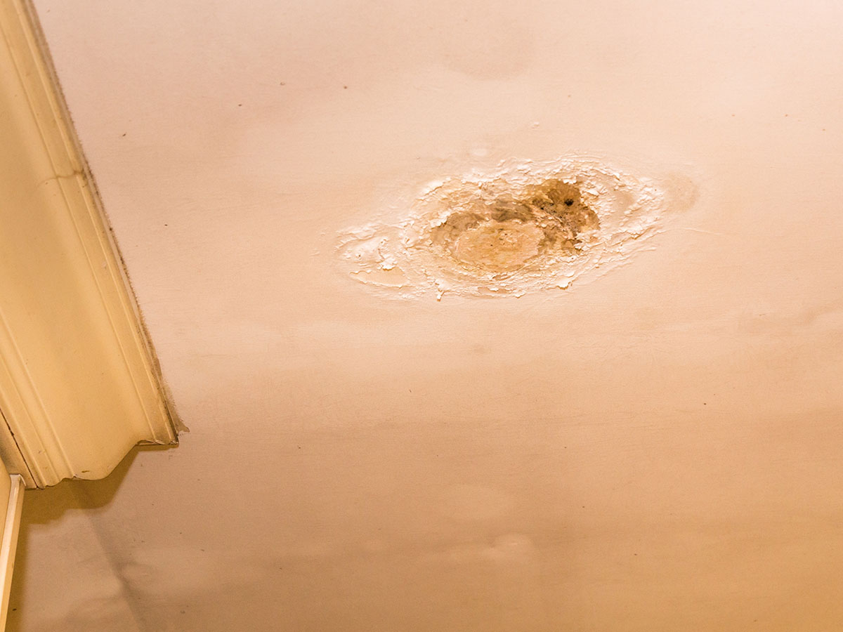 1200x900GMB-Leaks In The Attic leak in ceiling