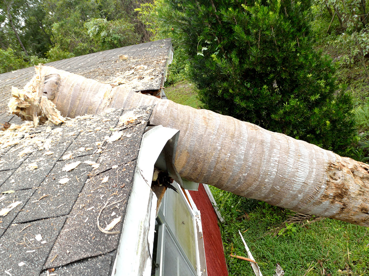 1200x900GMB-Storm Damage fallen tree on roof