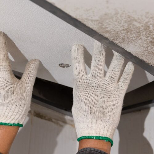 roofing contractor, roofing services, local roofing companies